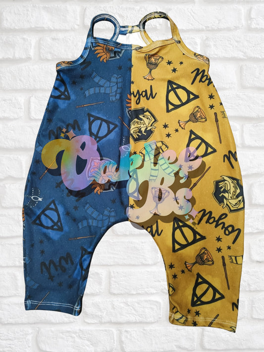 Ravenclaw/Hufflepuff Terran